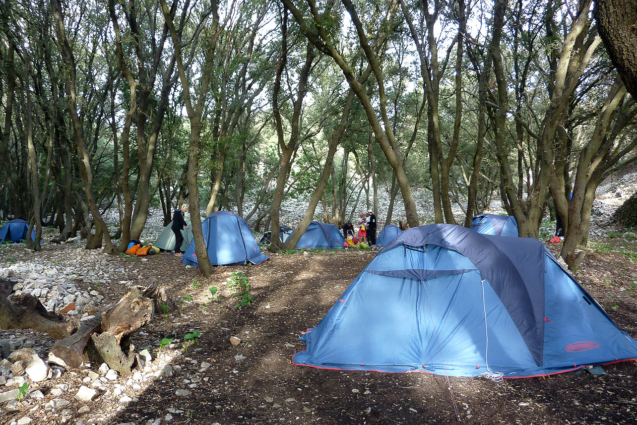 Camping in the forest.