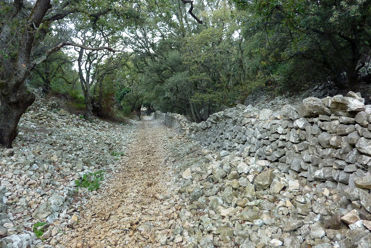 A lot of stone walls in Croatia.