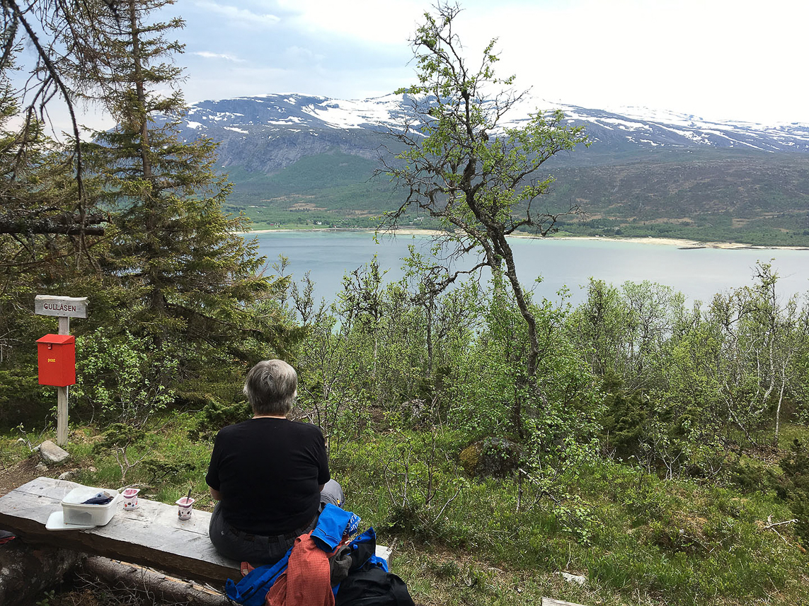 A walk to the top of Gullåsen on Hinnöya