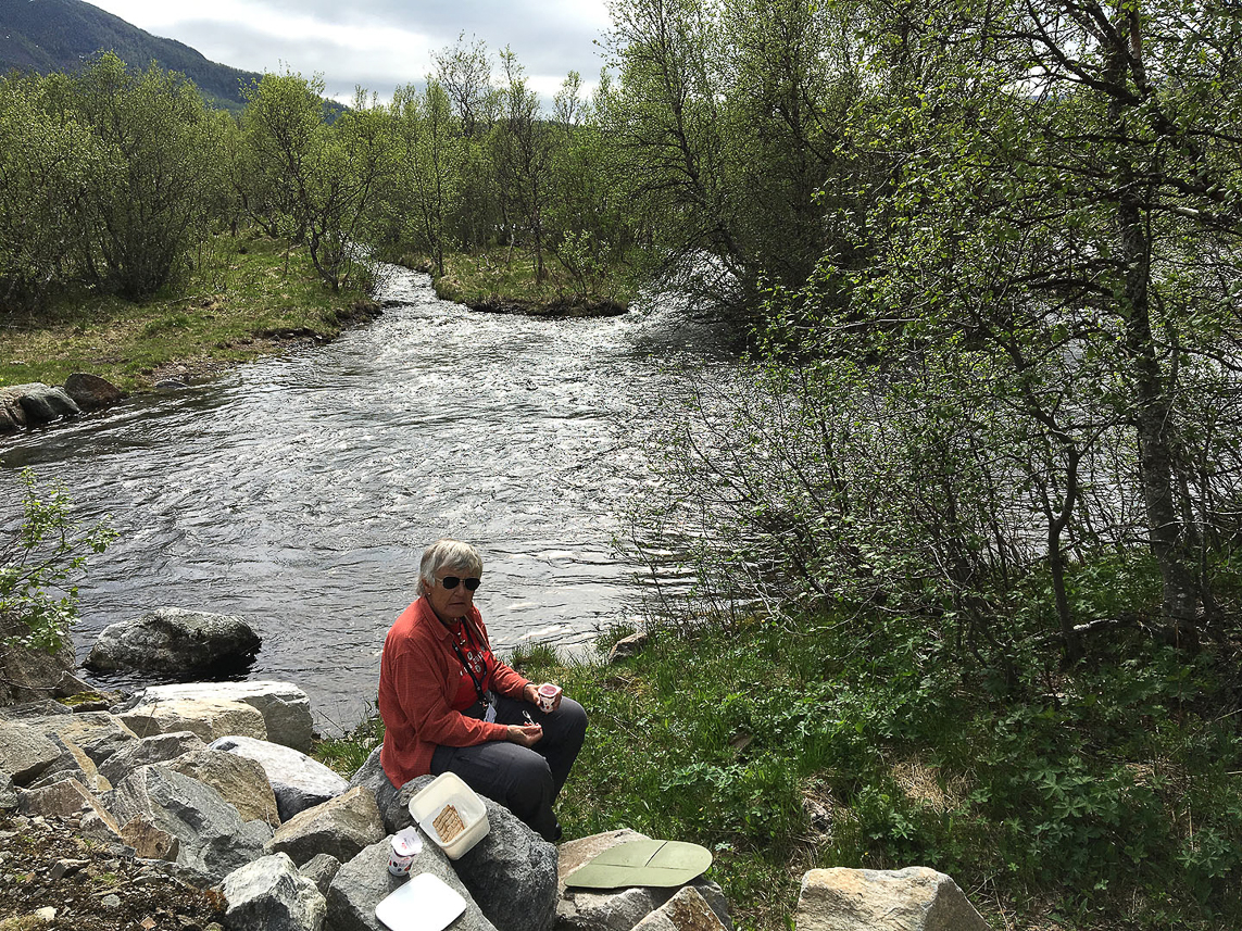 Lunch at the nice Bergselva