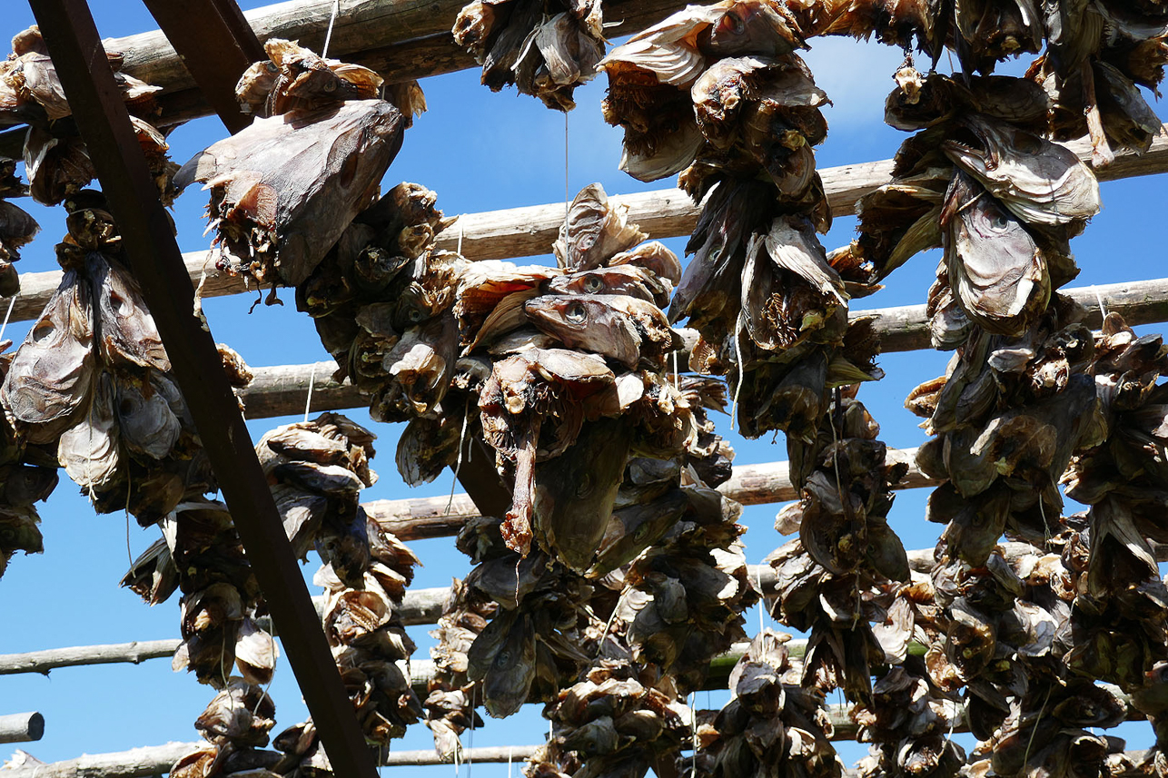 Dried fish heads