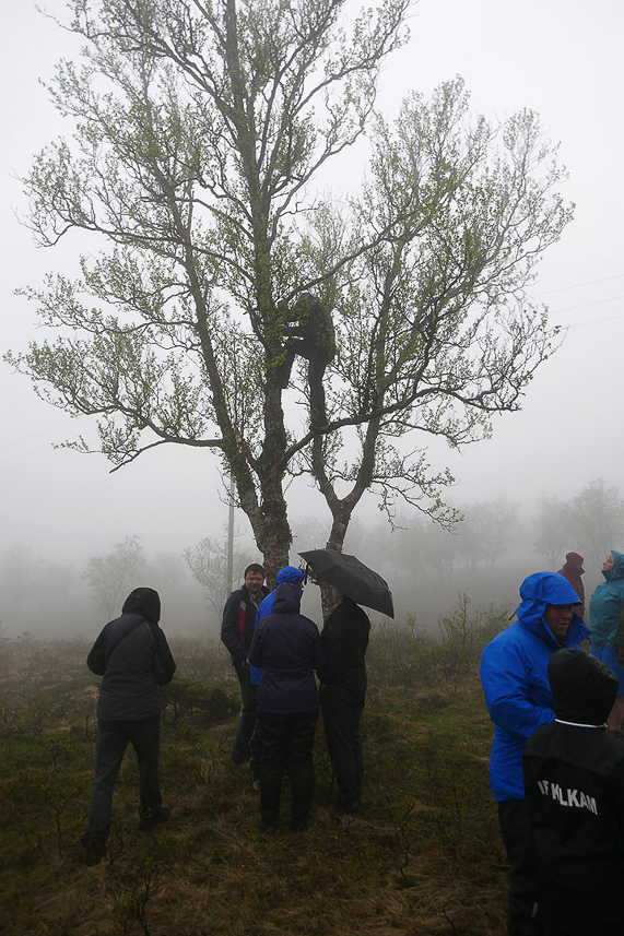 Climbing for a geocache at the rainy farewell event