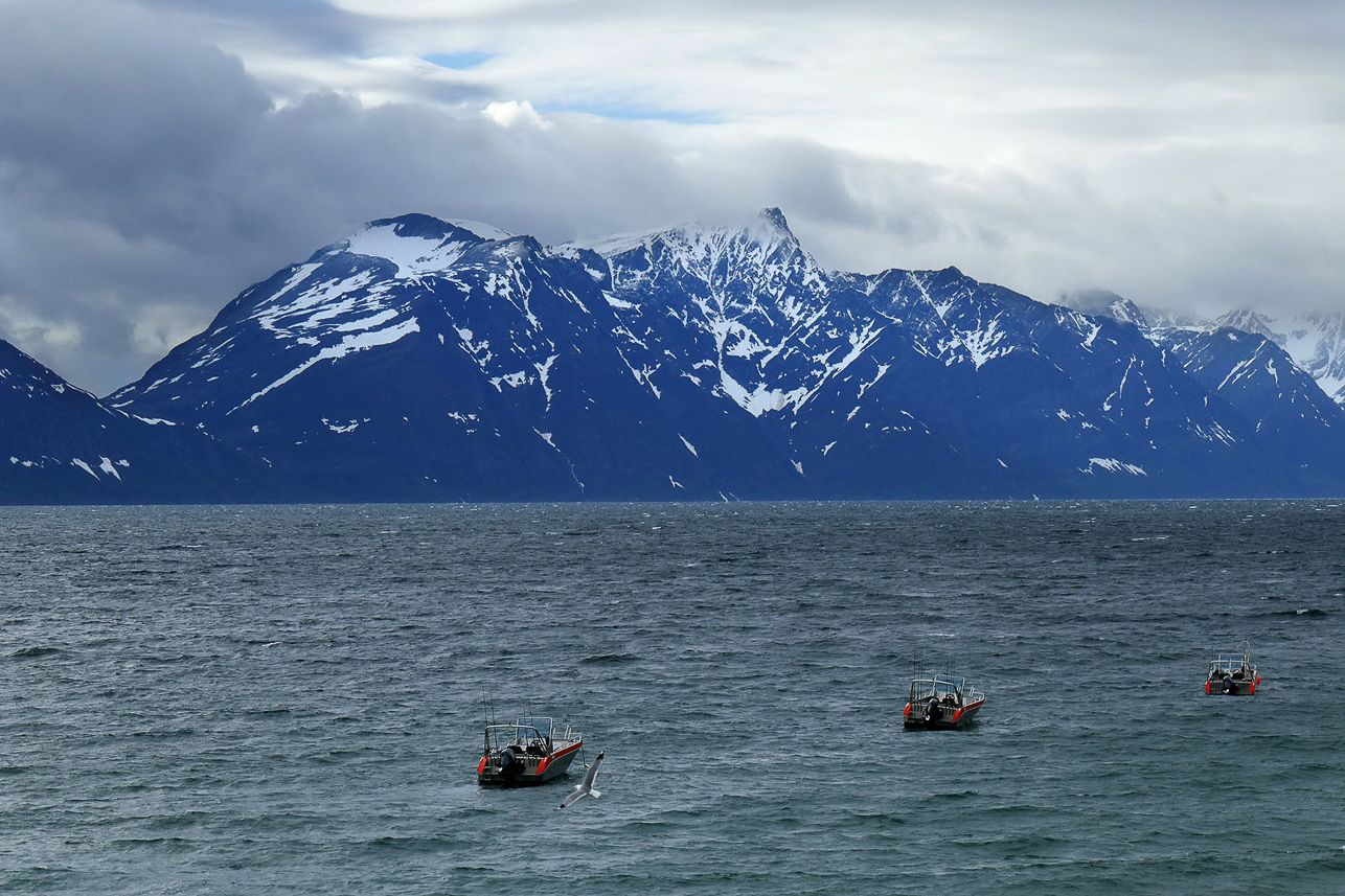 View across Lyngen fjord