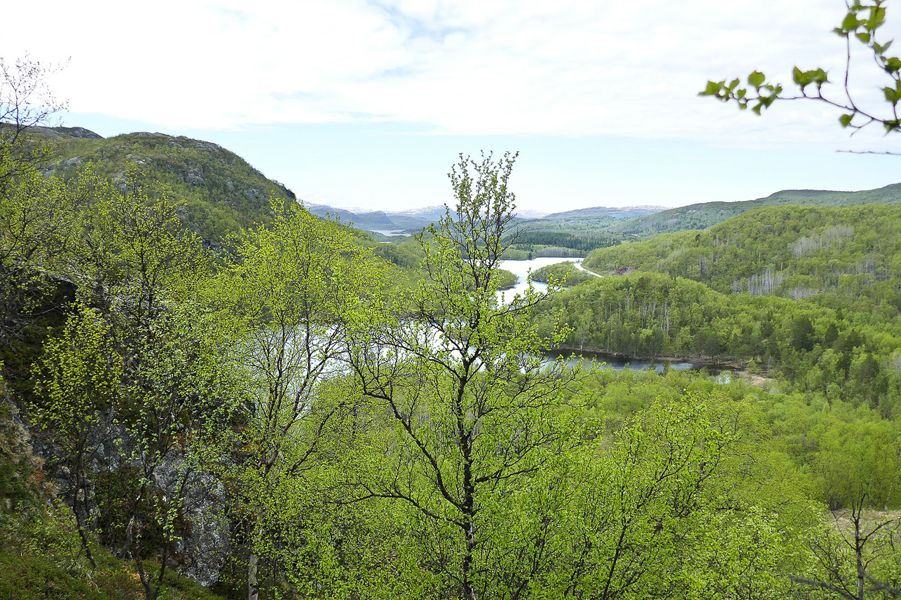 View from a hill when travelling towards the Finnish border