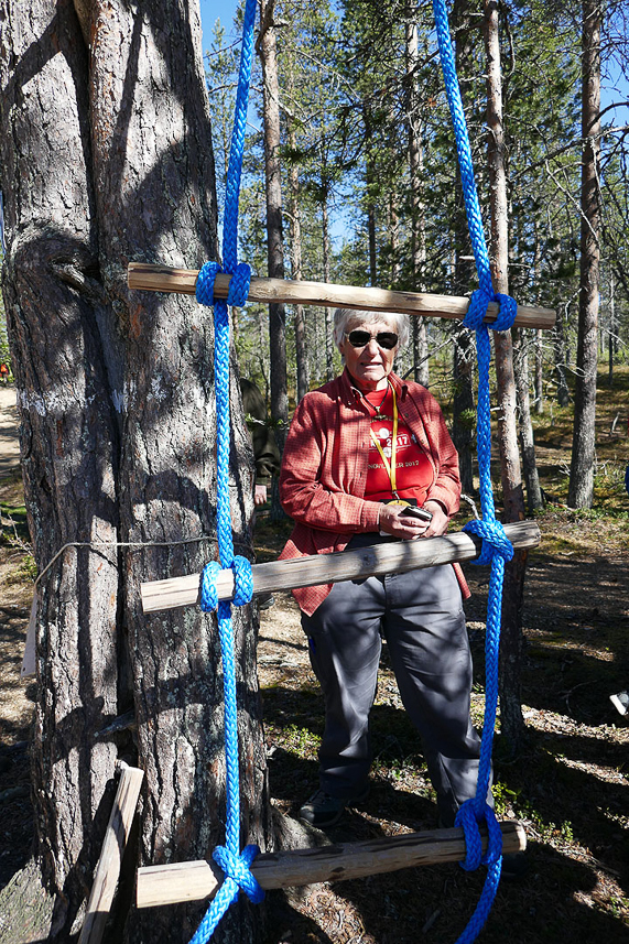 Activities during the geocaching event