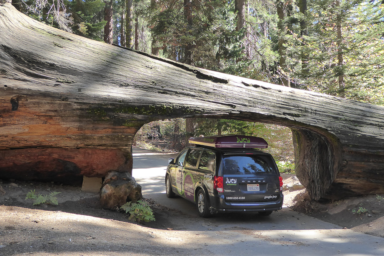 Tunnel log from 1937, diameter 6,3 meter. Tunnel built by "CCC boys" during the depression.