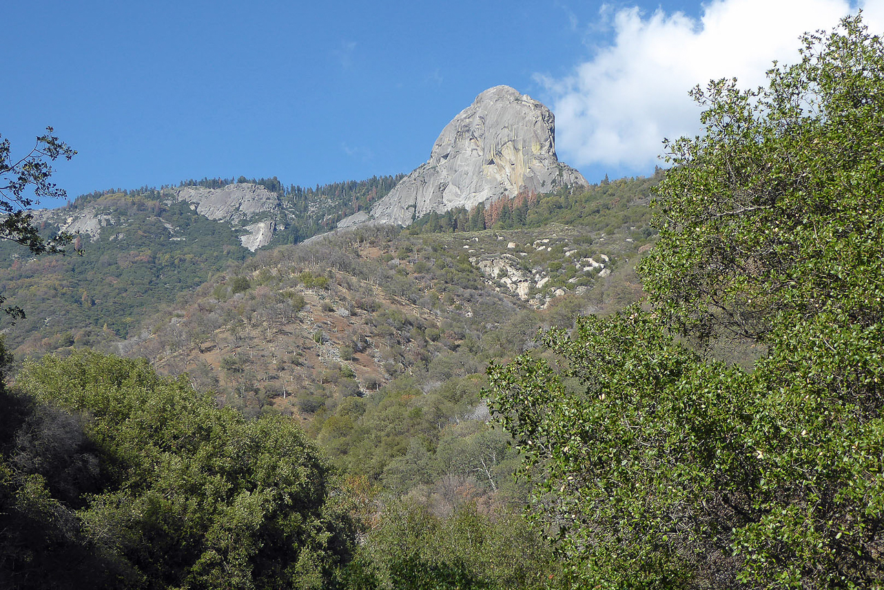 Moro rock