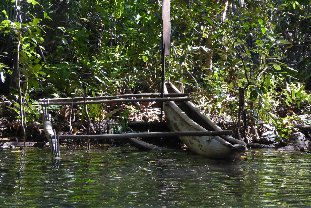 Canoe, made from trees