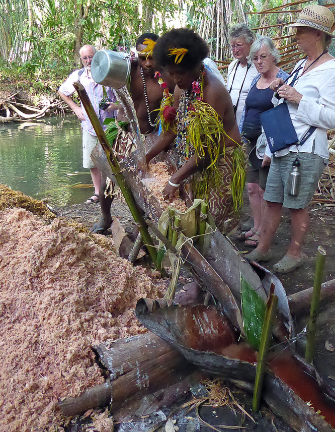 Sago palm, pouring water on the crushed inner part of the palm