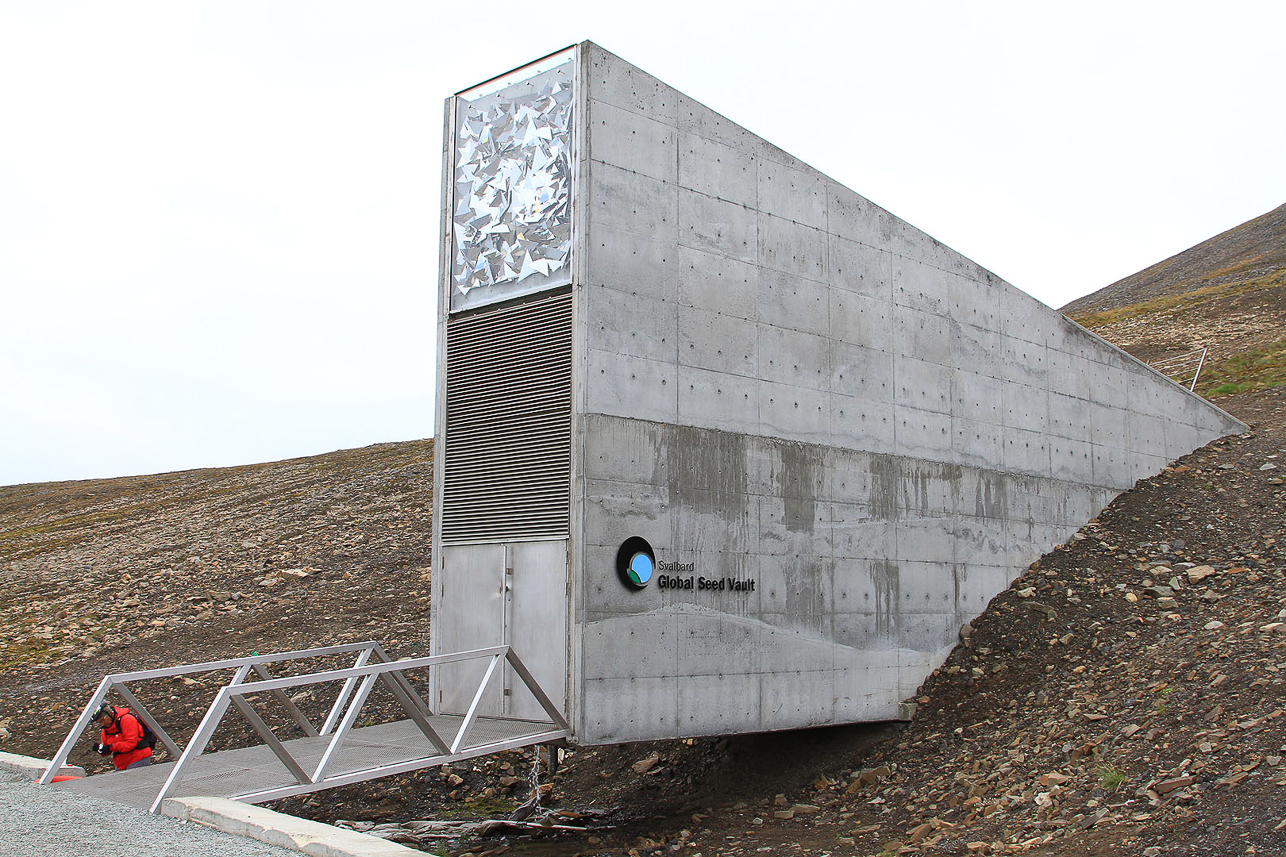 Global Seed Vault, keeping seeds in an old coal mine.