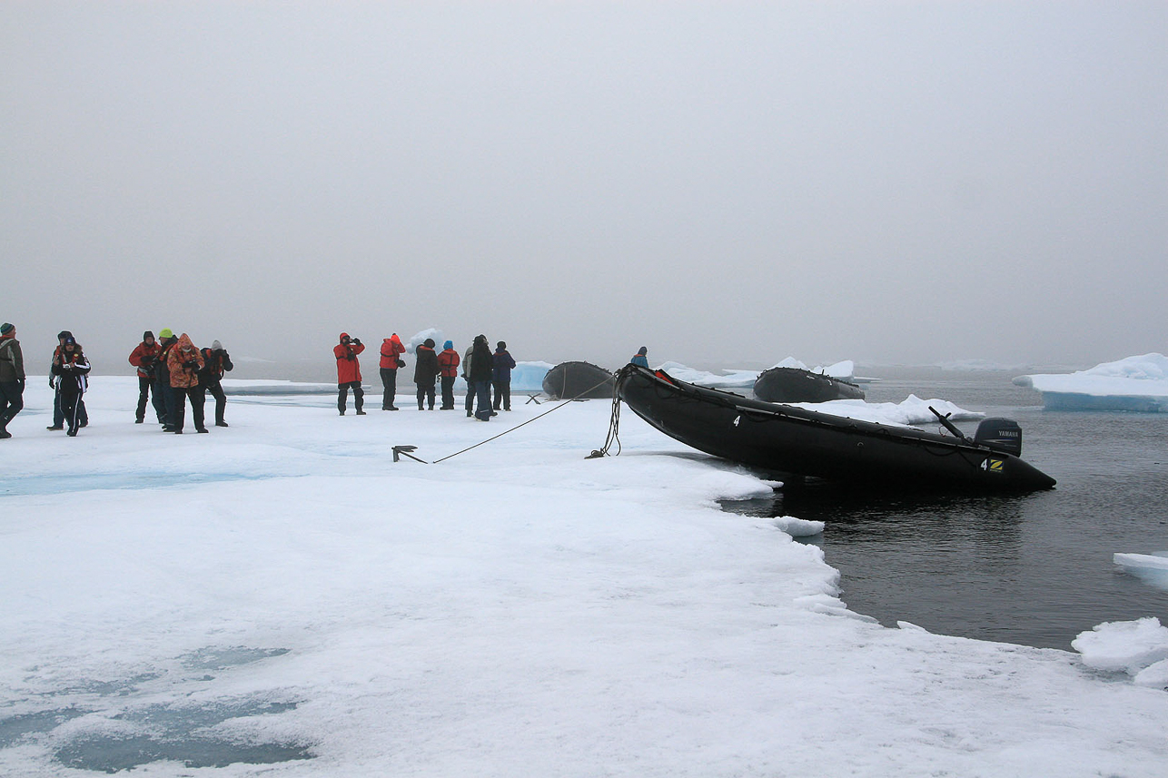 Zodiac stop on an ice floe north of Lågöya (around N 80 29 degrees)