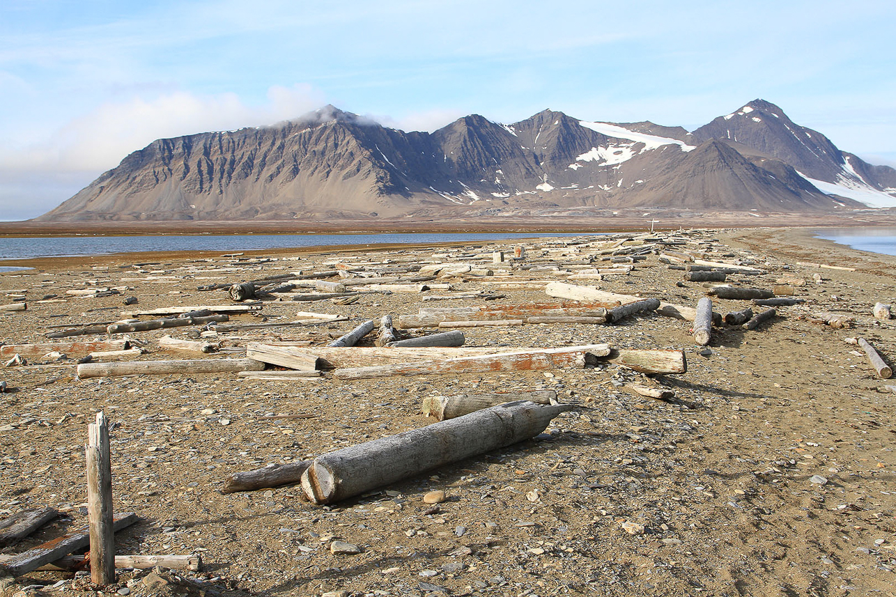 A lot of timber at Poolepynten (Prins Karls Forland).