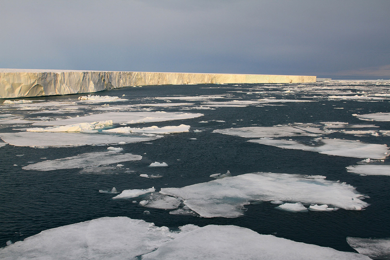 Bråsvellbreen, facing the water for around 200 km, 30-50 meter high.