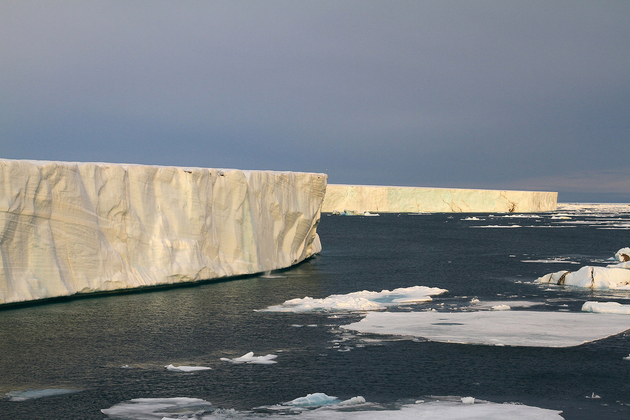 Bråsvellbreen