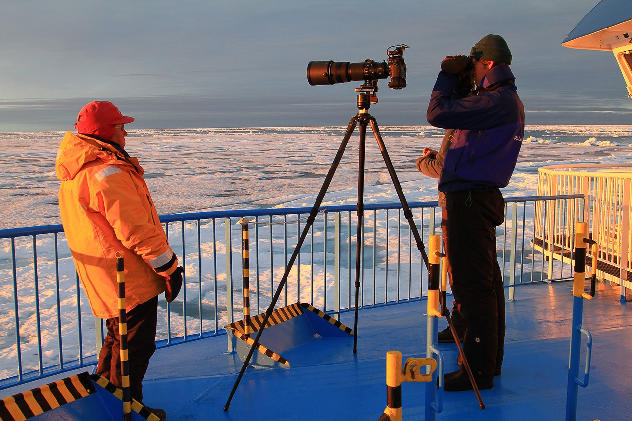 Watching for polar bears at midnight.