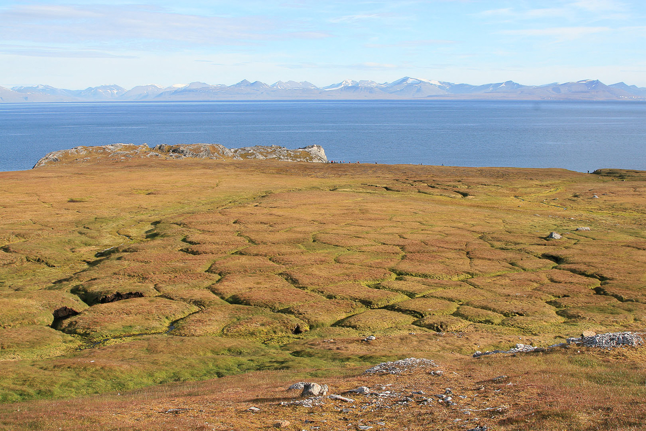 Tundra landscape.