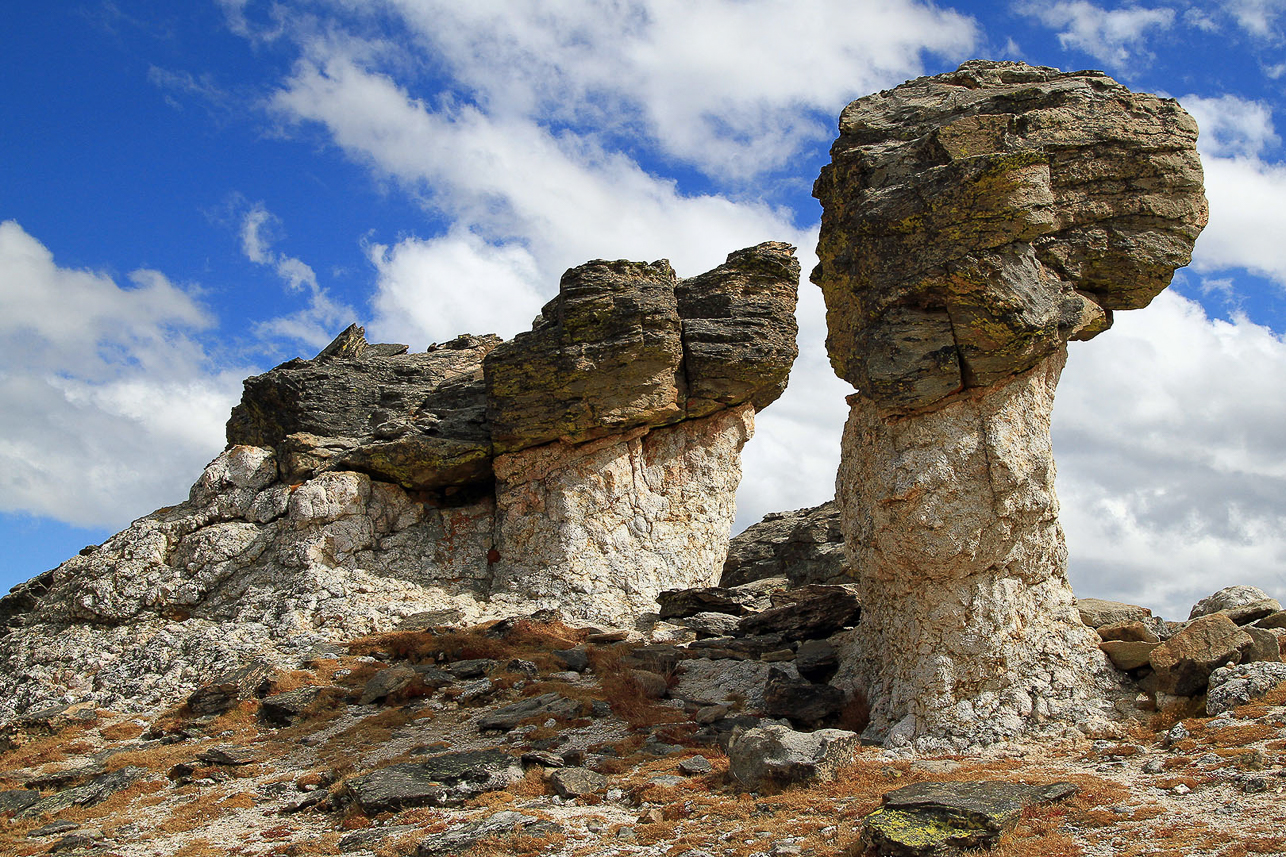 Mushroom shaped tors (consiting of schist and granite)