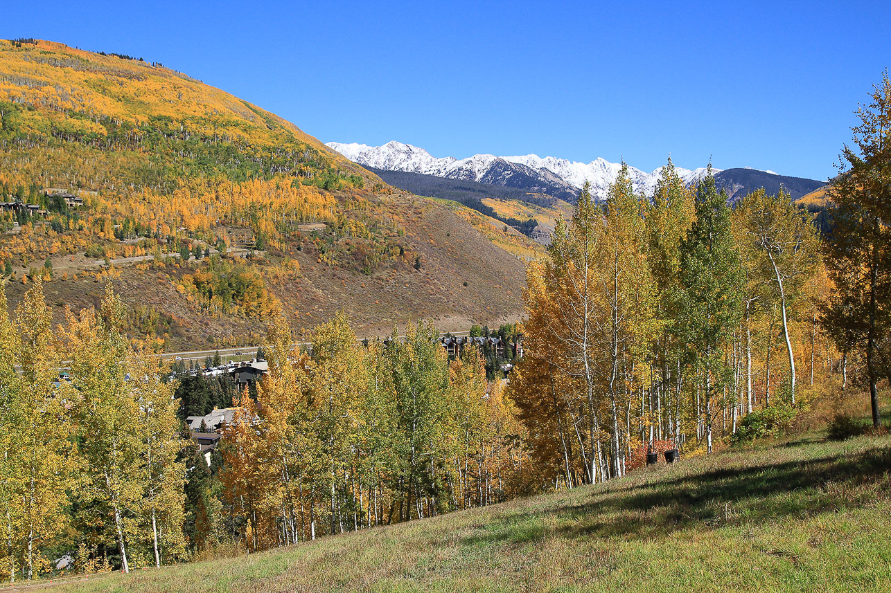 Vail