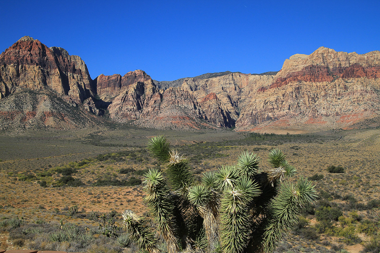 Red Rock Canyon (west of Las Vegas)