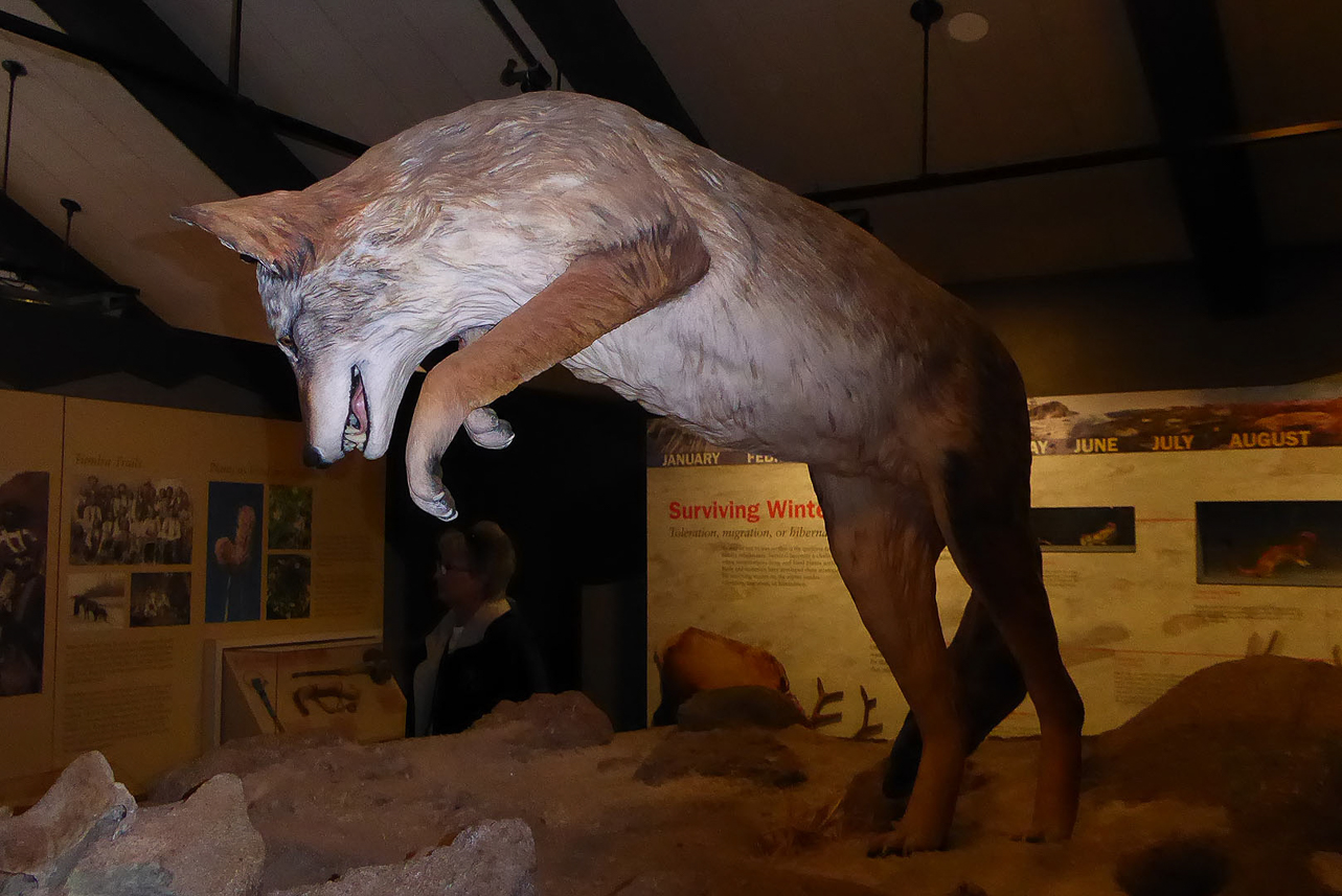 Inside Alpine Visitor Center