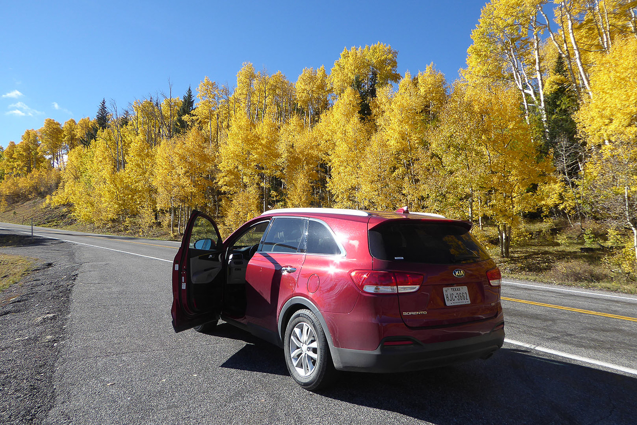 Autumn colors along scenic drive 12