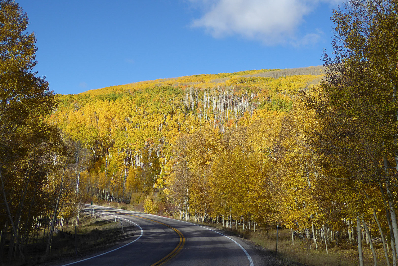 Autumn colours along scenic drive 12