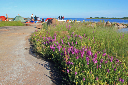 IMG_1248_redigerad-1